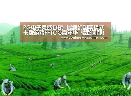 PG电子免费试玩-最终幻想集换式卡牌游戏FFTCG嘉年华 精彩回顾！