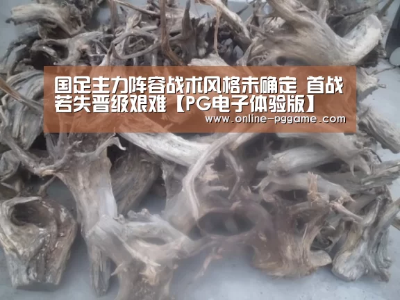 PG电子试玩