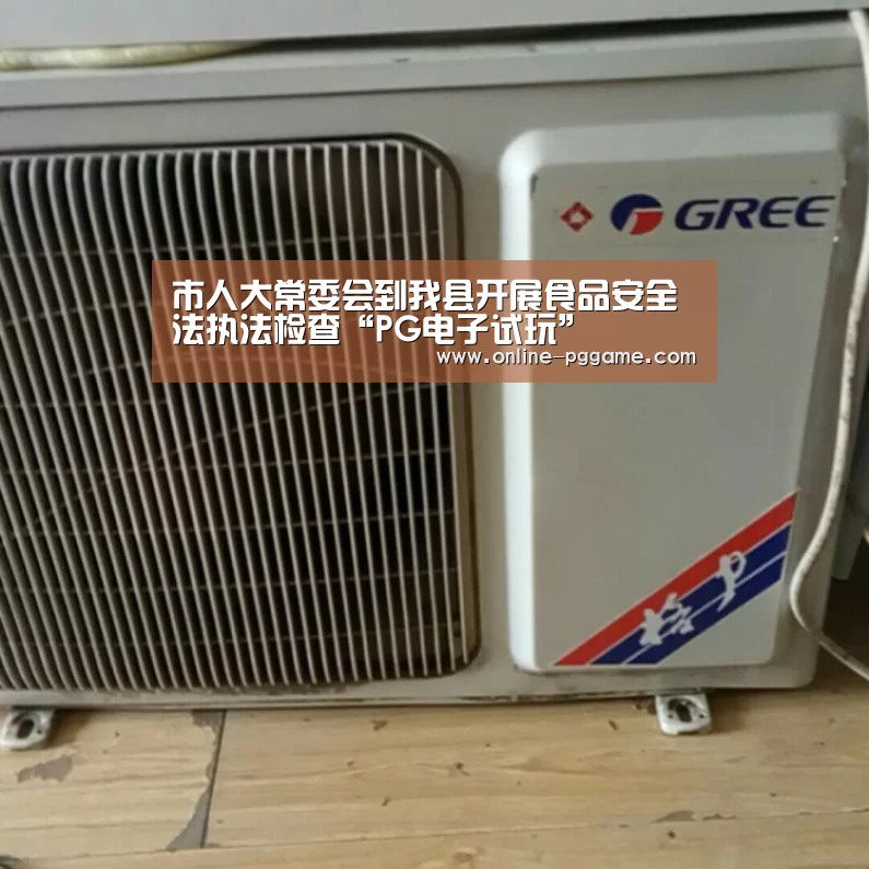 市人大常委会到我县开展食品安全法执法检查“PG电子试玩”(图4) PG电子试玩